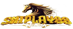 sniplaylogin.com